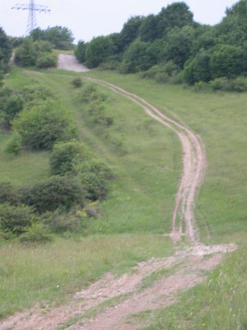 640x480/DSCN2656.JPG